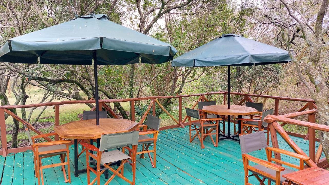 Greenwood Safari Camp Talek ภายนอก รูปภาพ