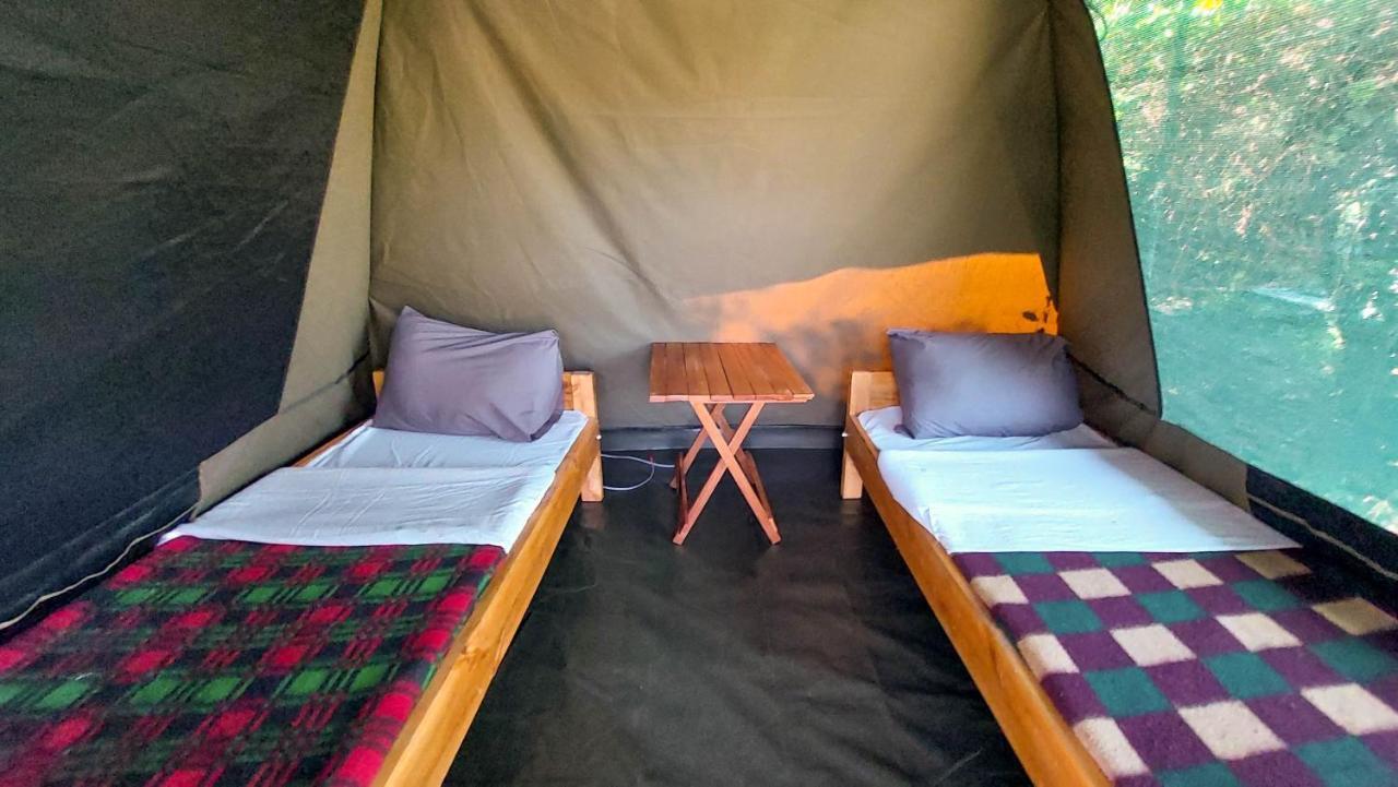 Greenwood Safari Camp Talek ภายนอก รูปภาพ