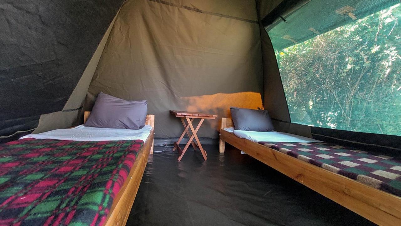 Greenwood Safari Camp Talek ภายนอก รูปภาพ