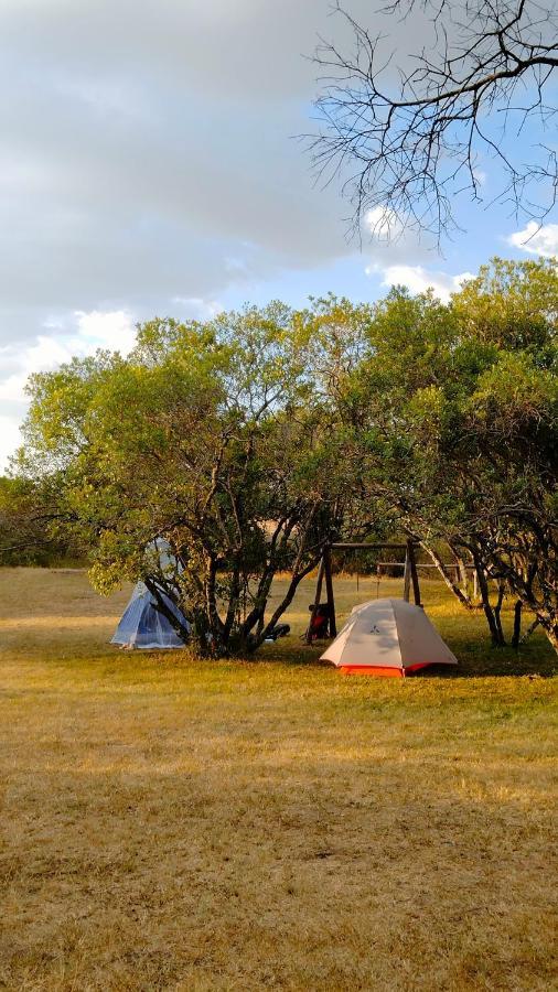 Greenwood Safari Camp Talek ภายนอก รูปภาพ